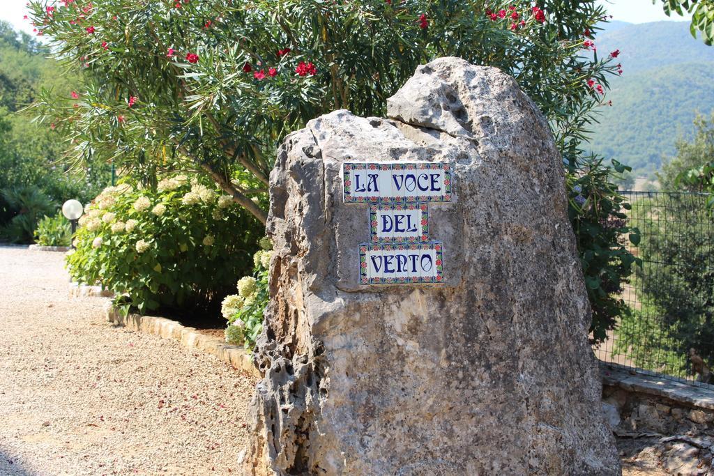 Villa La Voce Del Vento Pastena  Buitenkant foto